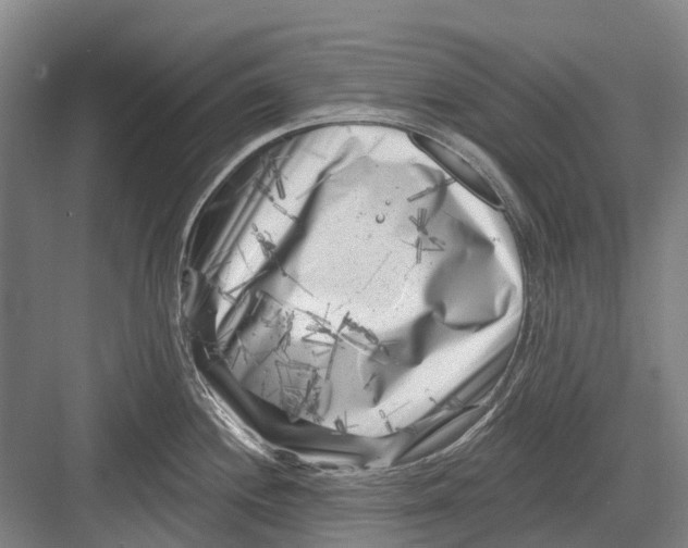 X0000082731244200702161859