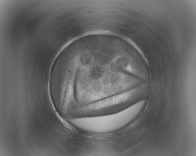 X0000082731245200702161859