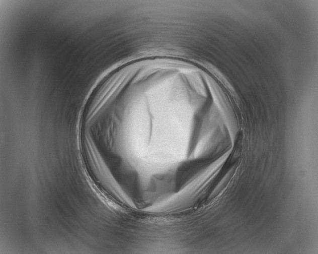 X0000082731246200702161859