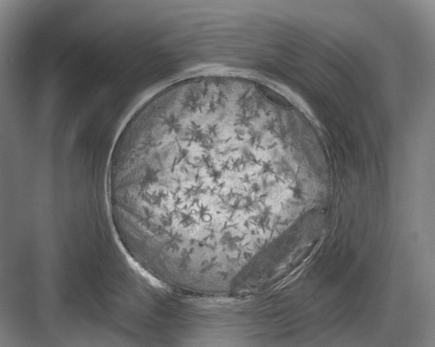 X0000082731247200702161859