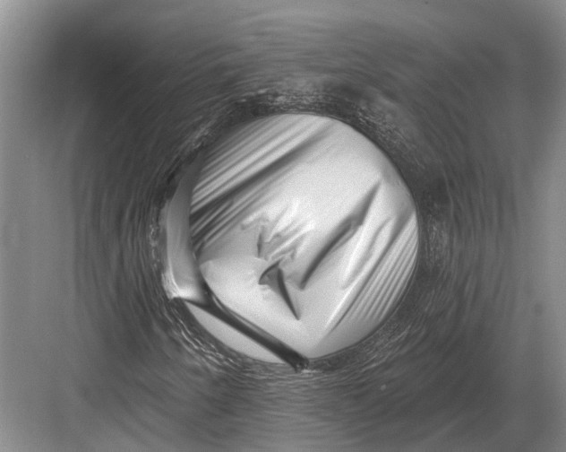 X0000082731250200702161858