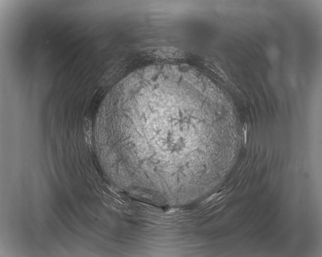 X0000082731251200702161858