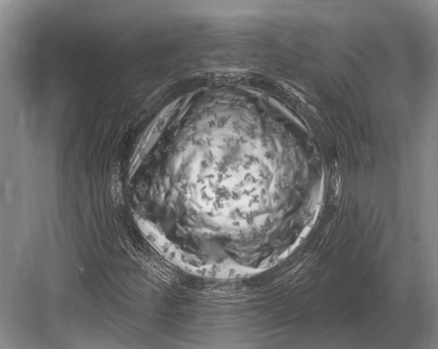 X0000082731252200702161858