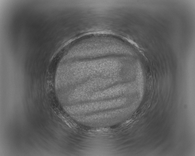 X0000082731255200702161858