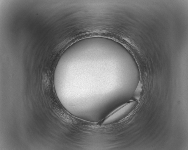 X0000082731257200702161858