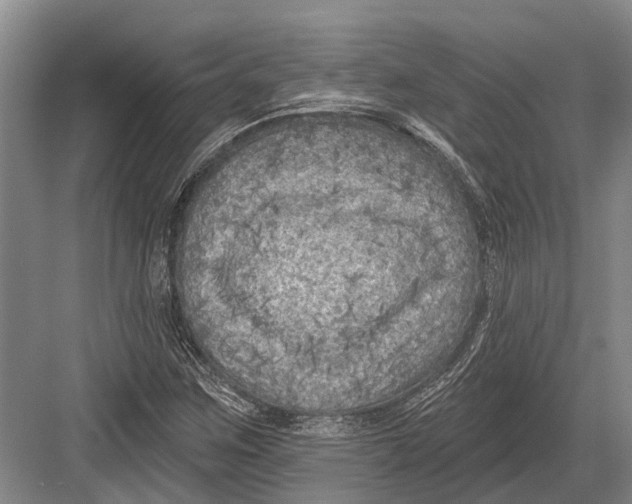 X0000082731259200702161858