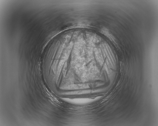 X0000082731260200702161858