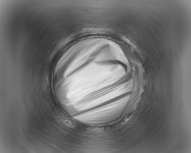 X0000082731261200702161858