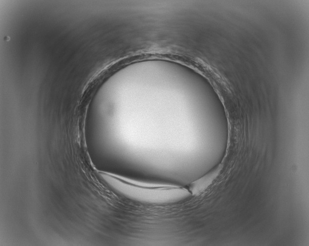 X0000082731262200702161858