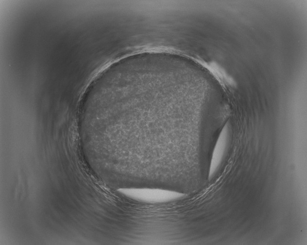 X0000082731263200702161858