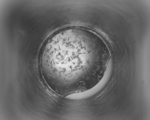 X0000082731264200702161858