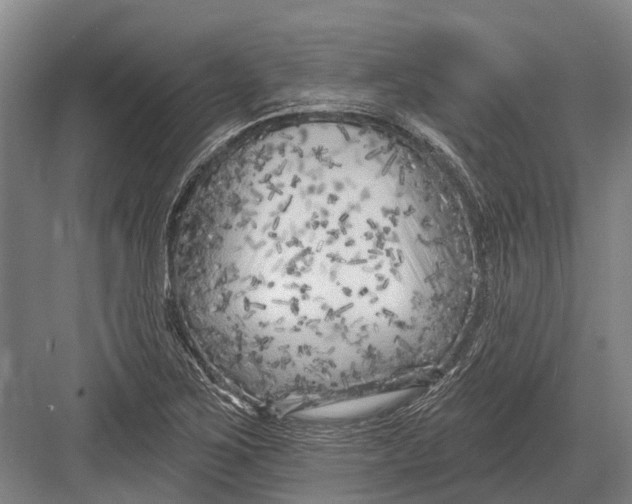 X0000082731267200702161858