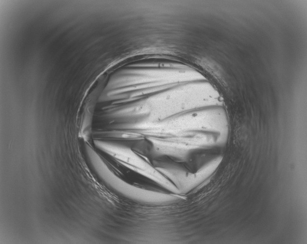 X0000082731268200702161858