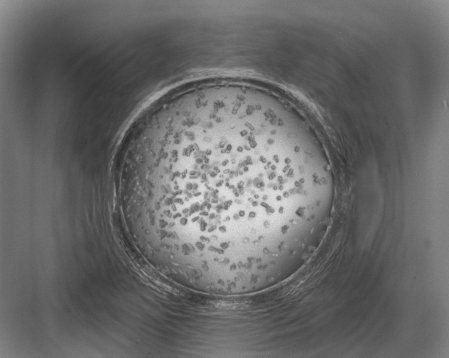 X0000082731271200702161858