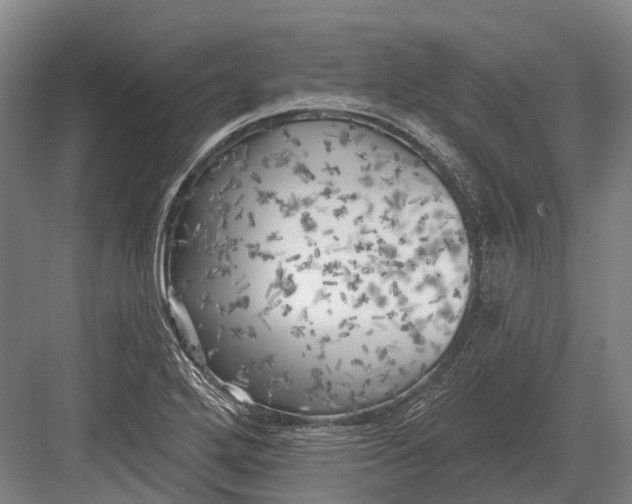 X0000082731272200702161858