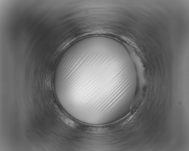 X0000082731273200702161858