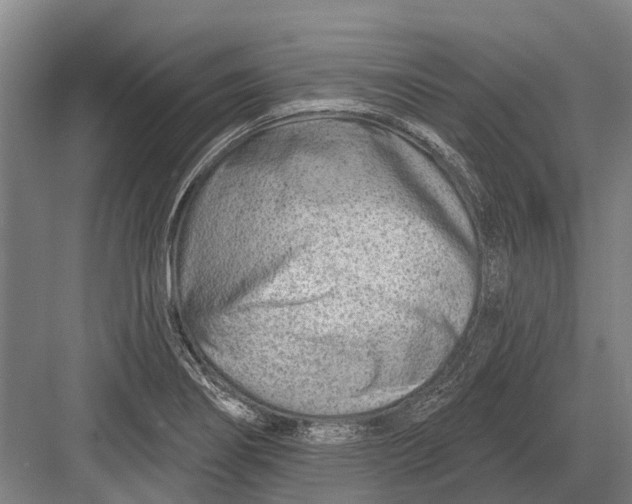 X0000082731274200702161858