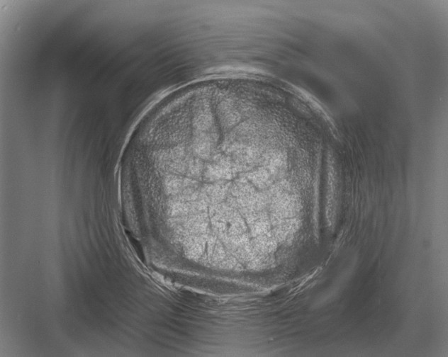 X0000082731275200702161858