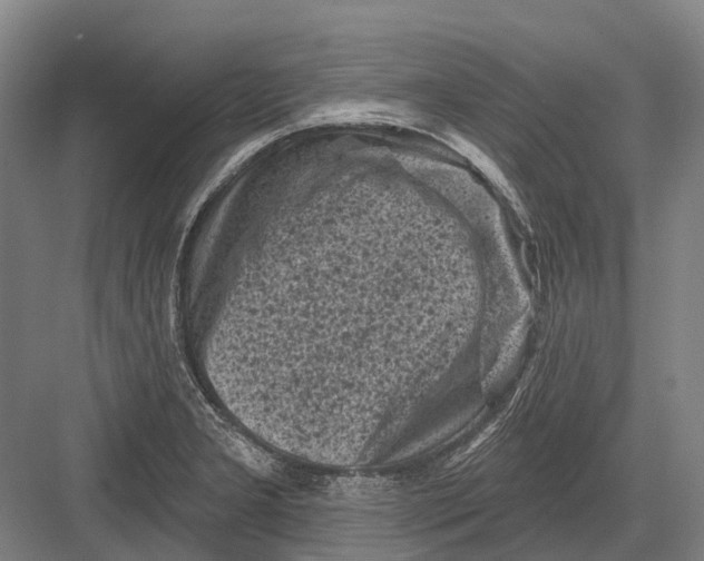 X0000082731277200702161858