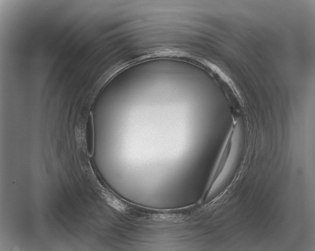 X0000082731281200702161858