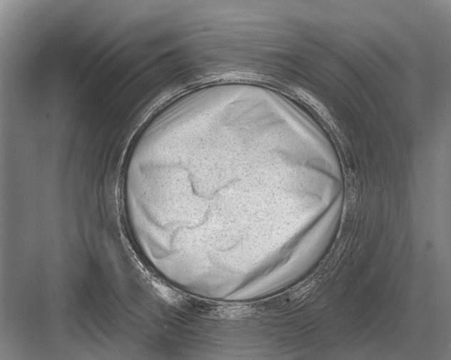 X0000082731282200702161857