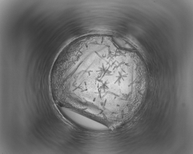 X0000082731283200702161857