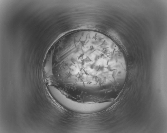 X0000082731284200702161857