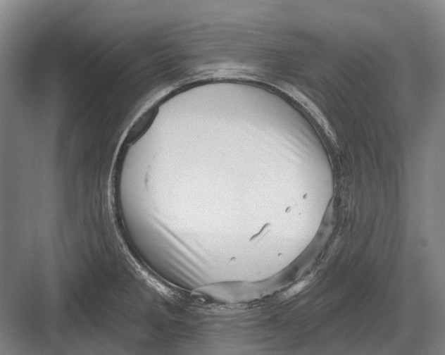 X0000082731285200702161857