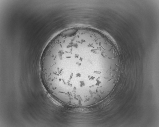 X0000082731287200702161857