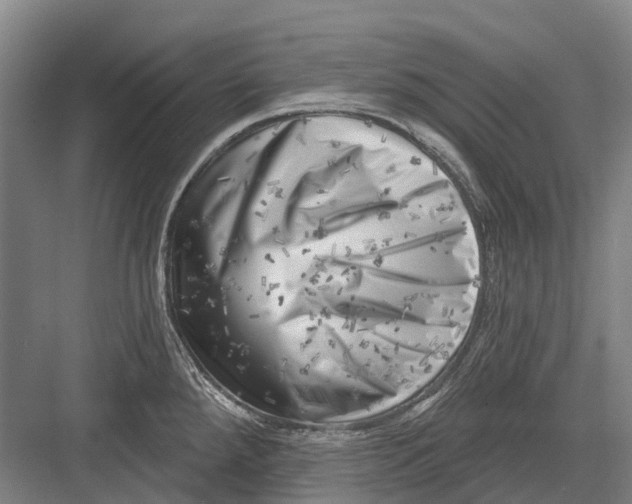 X0000082731288200702161857