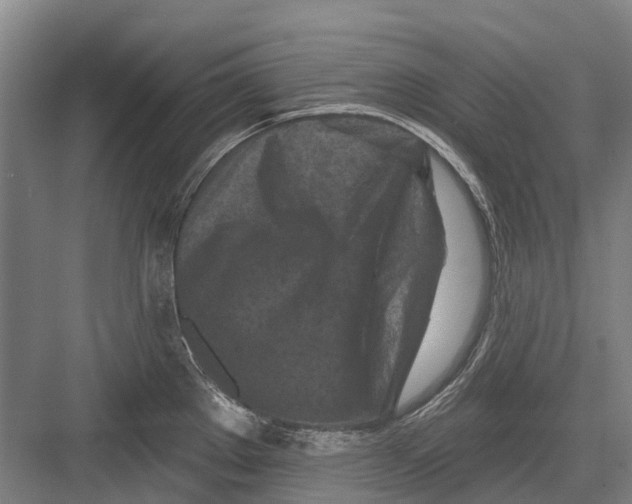 X0000082731289200702161857