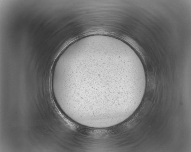 X0000082731290200702161857