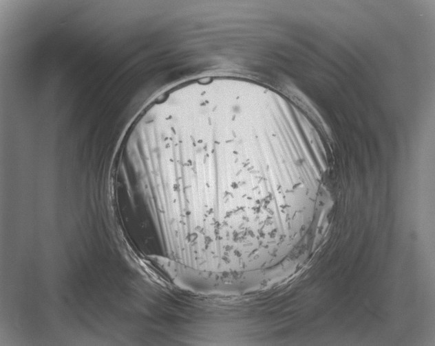 X0000082731292200702161857