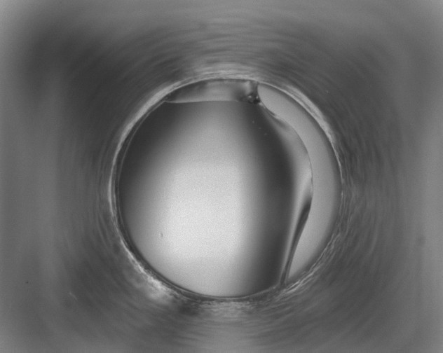 X0000082731293200702161857