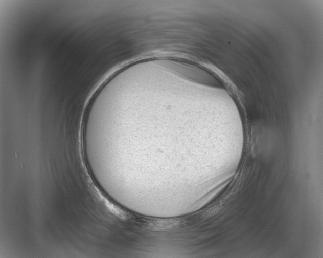 X0000082731294200702161857