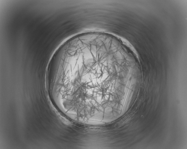 X0000082731295200702161857