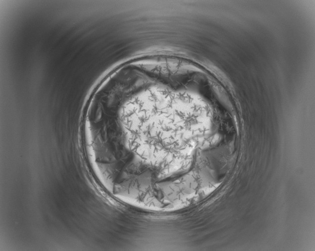 X0000082731296200702161857