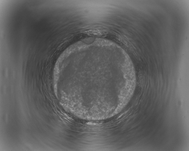 X0000082731297200702161856