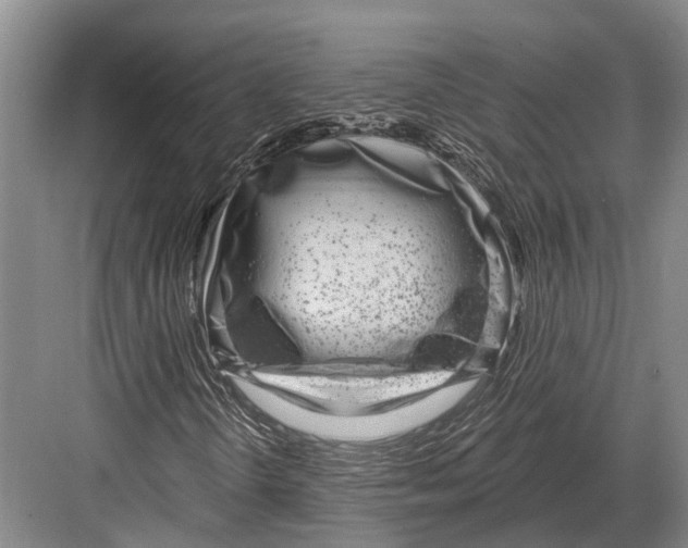 X0000082731298200702161856