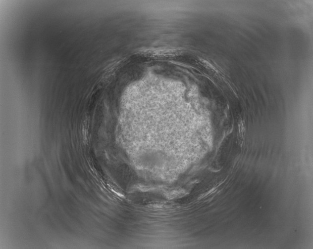 X0000082731300200702161857