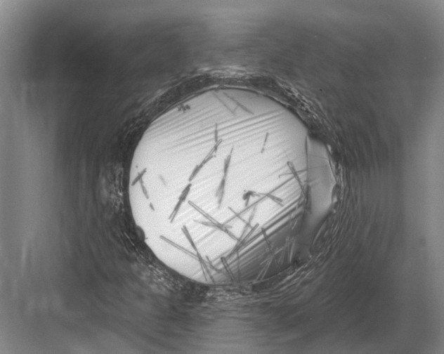 X0000082731301200702161857