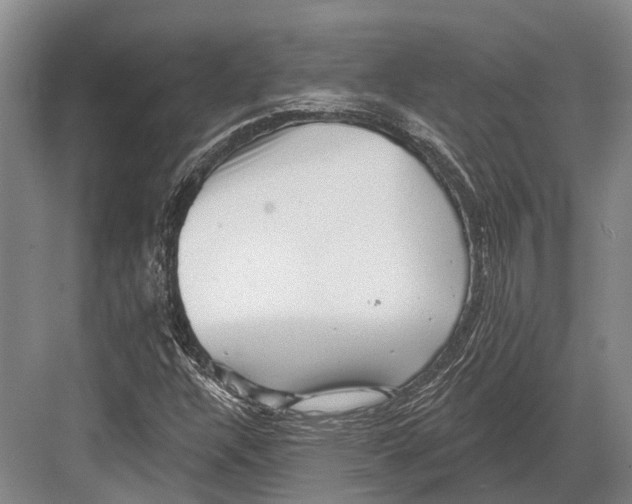 X0000082731304200702161857