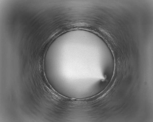 X0000082731305200702161857