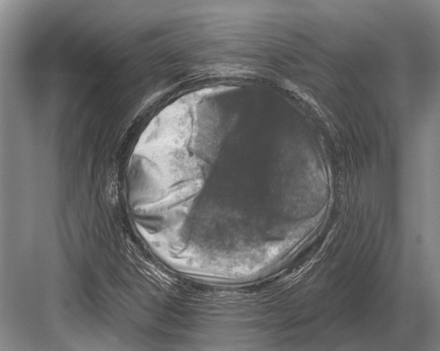 X0000082731306200702161857