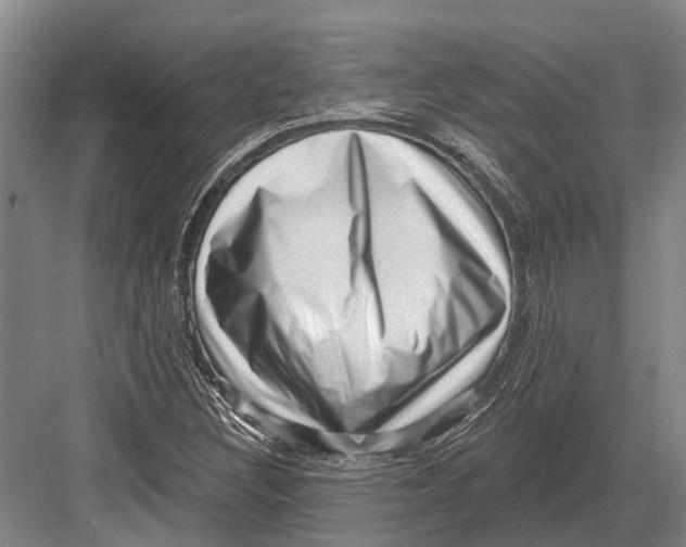 X0000082731308200702161857