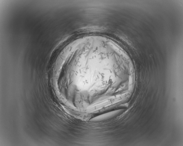 X0000082731309200702161857