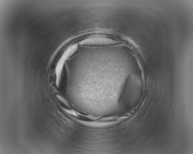 X0000082731310200702161857