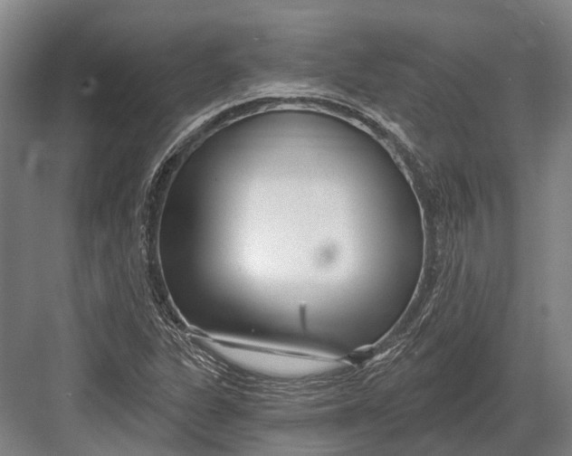 X0000082731311200702161857