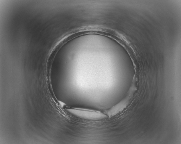 X0000082731312200702161857