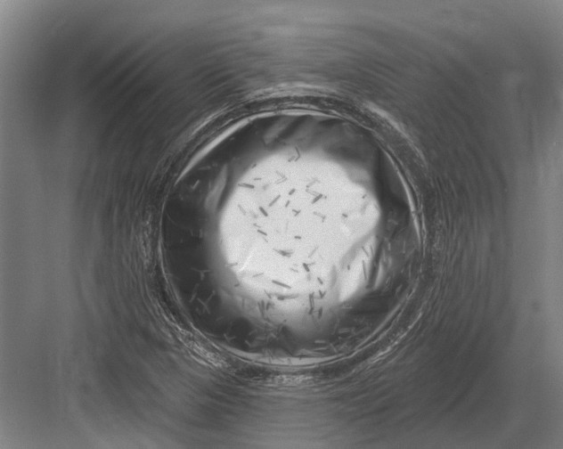 X0000082731313200702161857